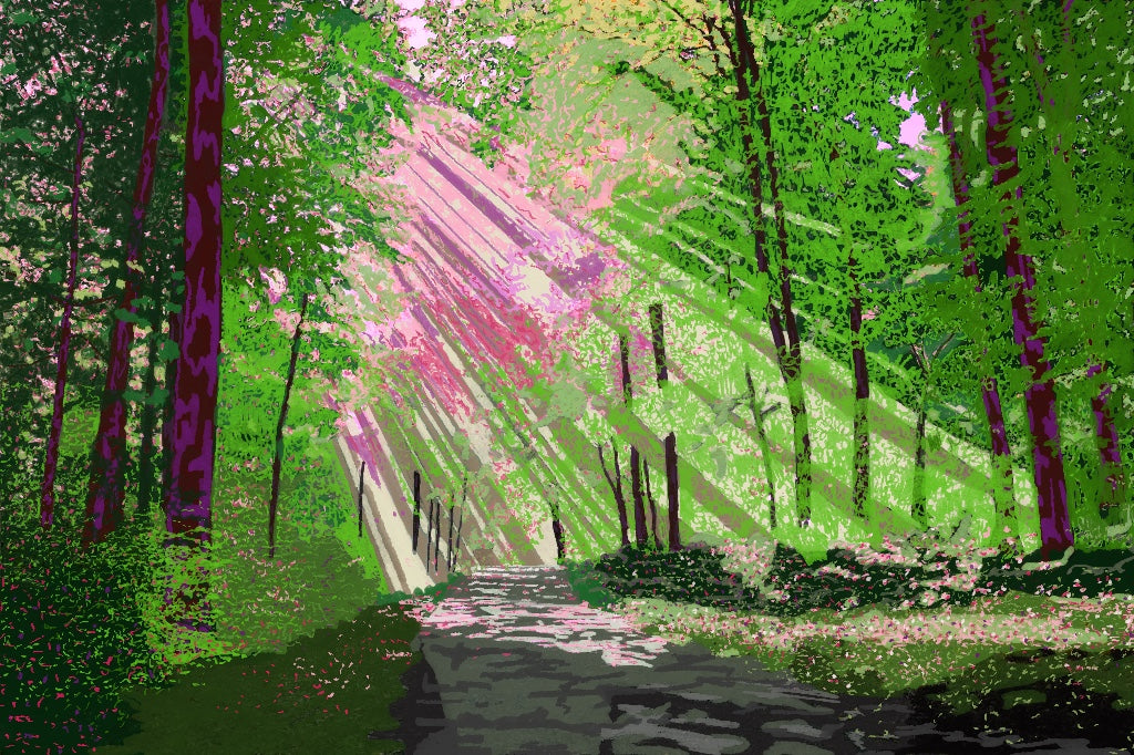 Rayons de rose
