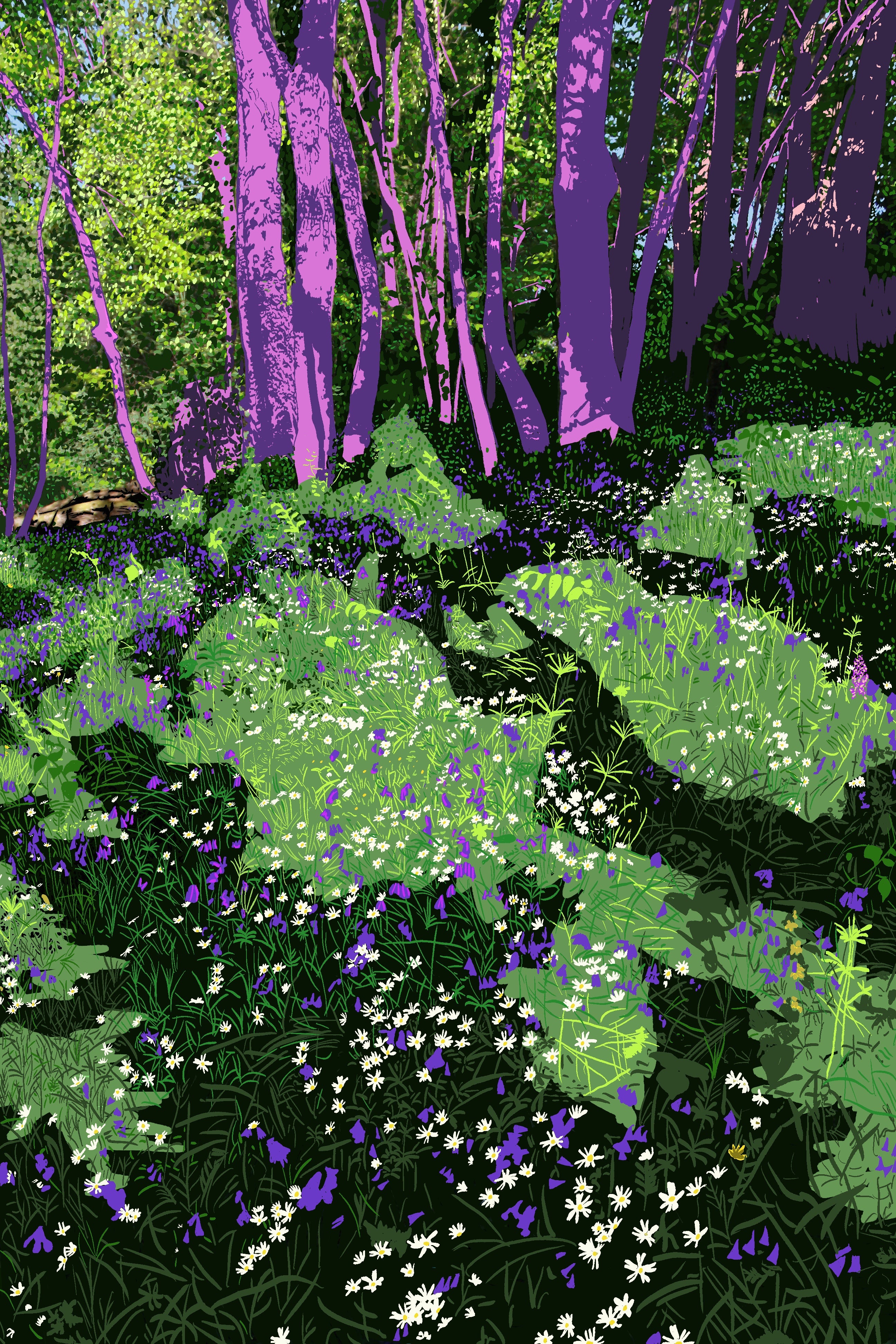Sous-bois fleuri